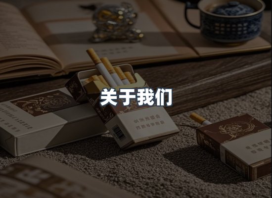 专业团队